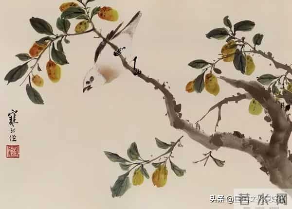 国画大家江寒汀的写意花鸟作品赏析！