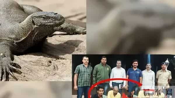 毁三观！韩国女主播到印度旅游被男子尾随露私处，评论区相当炸裂