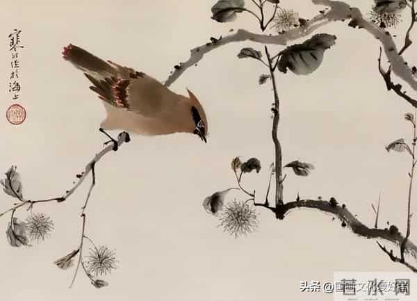 国画大家江寒汀的写意花鸟作品赏析！