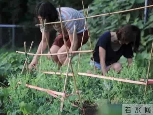 还记得性感女神李孝利吗?这才是20年来真正的“大女主”人设