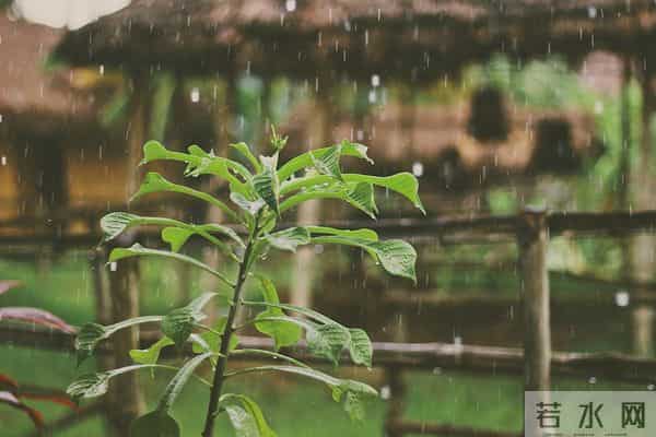 上联：三星白兰地；下联：五月黄梅天 100个无情对，超有趣对联