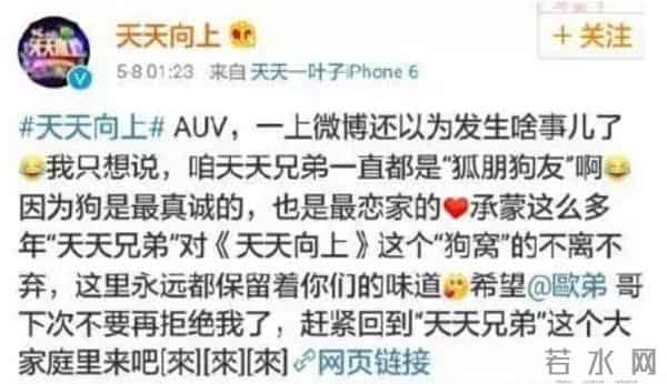 这是糊透了?欧弟宣布离婚却无人问津,也许不该离开《天天向上》