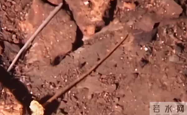 2005年,朱元璋儿子墓内发现6具少女遗骸,开墓门前出现一片白雾