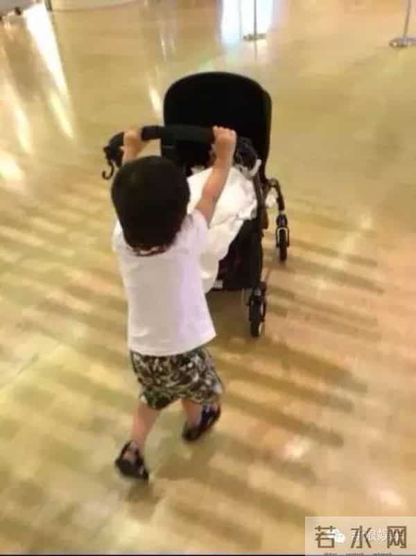 天天哄妹妹好苏,千玺搂弟弟暖炸...小小年纪的他们都成了别人家的哥哥