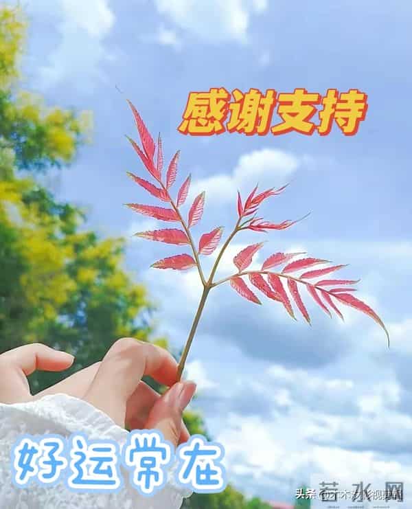 推荐：陈妍希主演的7部电影榜单，你看过几部？