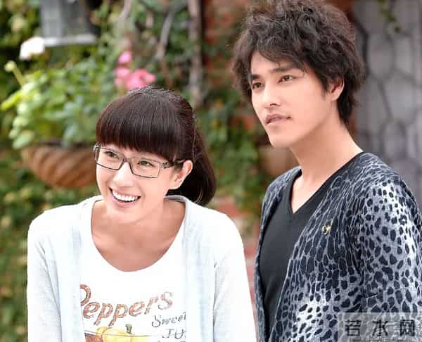 收视最高的10部台湾偶像剧：《天国的嫁衣》第9，《流星花园》第2