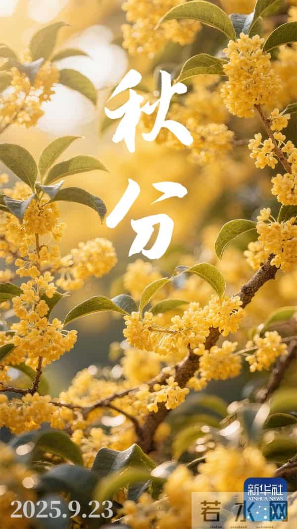 今日秋分,节日快乐!