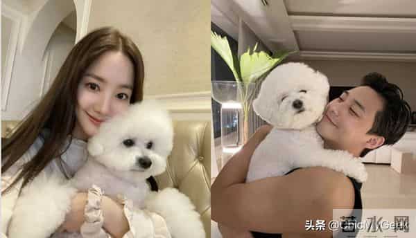 朴叙俊、朴敏英又现恋爱铁证!情侣装、表情符号隔空传情