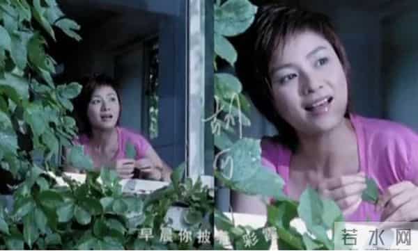 中国主持界的半壁江山,都在这两部MV里