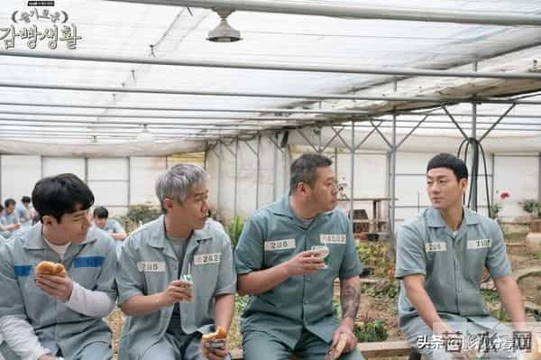 8部意难平韩剧结局,《奶酪陷阱》烂尾,最后一部让人心痛15年