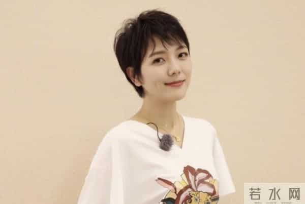 杨乐乐的老赖之路,和汪涵背后的商业帝国