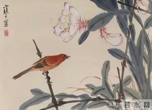 国画大家江寒汀的写意花鸟作品赏析！