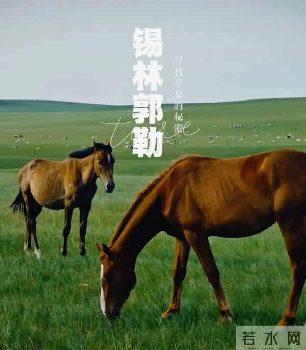 内蒙古:被大片导演青睐的天然“摄影棚”