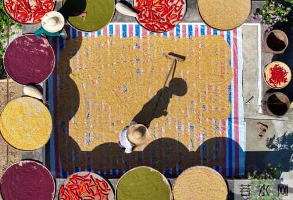 今日秋分,节日快乐!