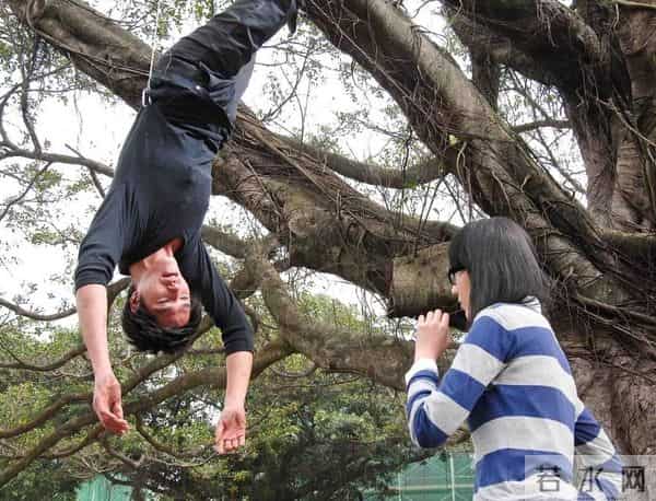 收视最高的10部台湾偶像剧：《天国的嫁衣》第9，《流星花园》第2