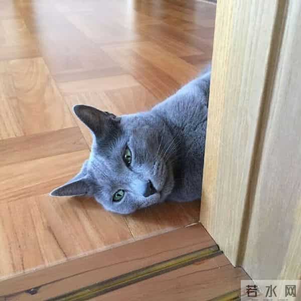 [2PM][分享]160610 灿盛上线安利歌曲 泽演盼望2PM回归