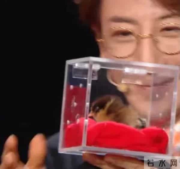 曾被传遭到封杀，上过央视春晚的魔术师刘谦，如今怎么样了？