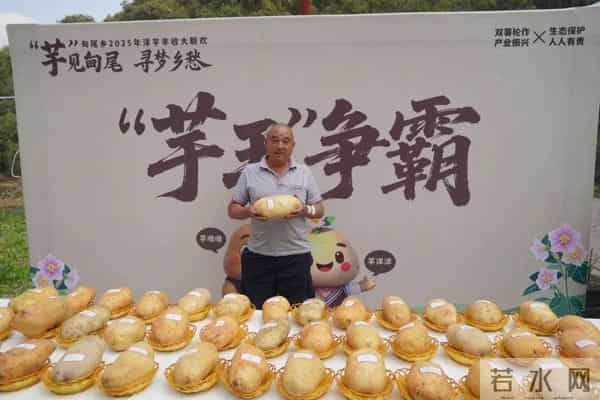 “芋”见甸尾 寻梦乡愁:建水民俗活动精彩纷呈