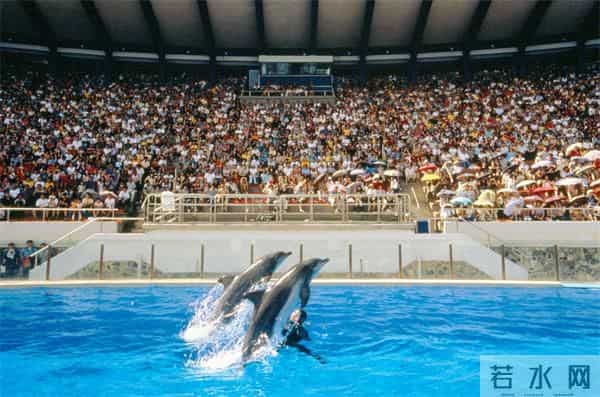 品艺文、享宁静、拾童趣，3680元起赴香港舒心之旅