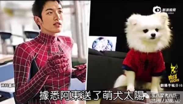 罗志祥、房祖名、柯震东一个都没逃整容脸李毓芬捆绑炒作