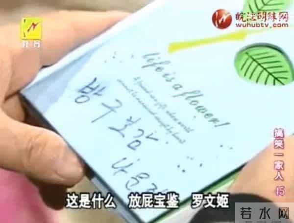 他走了，9.6分神作落幕