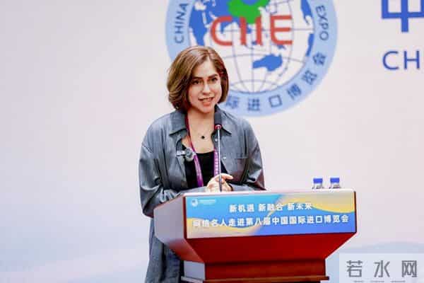 “新机遇新融合新未来——网络名人走进第八届进博会”网络大V沙龙活动举行