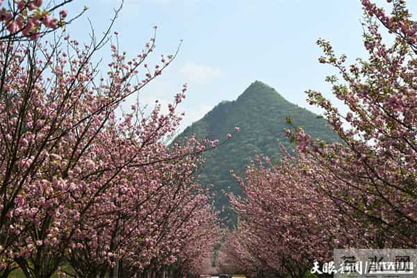 乘坐高铁看红色遵义万千景