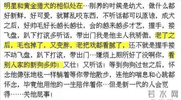 这是糊透了?欧弟宣布离婚却无人问津,也许不该离开《天天向上》