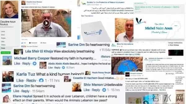 异地17年,每年飞13000公里相见,却在生子后离开!这个“负心汉”看哭了全世界……