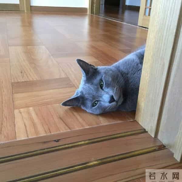 [2PM][分享]160610 灿盛上线安利歌曲 泽演盼望2PM回归