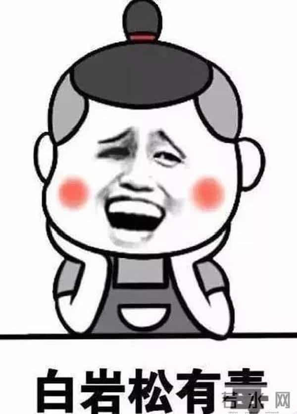 大写加粗的段子手,里约奥运,白岩松都说了些啥?