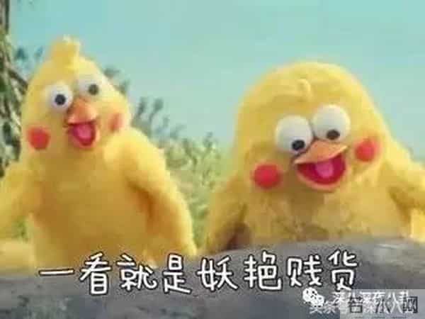 罗志祥、房祖名、柯震东一个都没逃整容脸李毓芬捆绑炒作