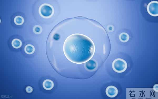 喝咖啡加牛奶有抗炎效果?喝咖啡最佳时机上午,不建议空腹喝咖啡