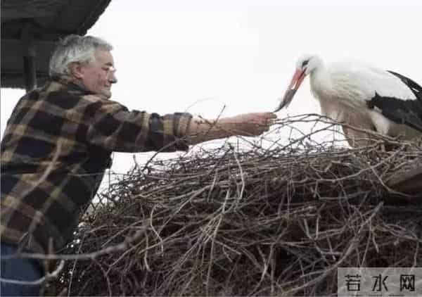 异地17年,每年飞13000公里相见,却在生子后离开!这个“负心汉”看哭了全世界……