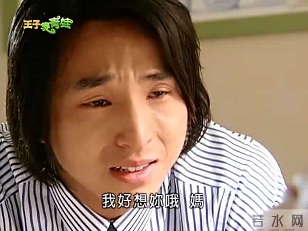 收视最高的10部台湾偶像剧：《天国的嫁衣》第9，《流星花园》第2