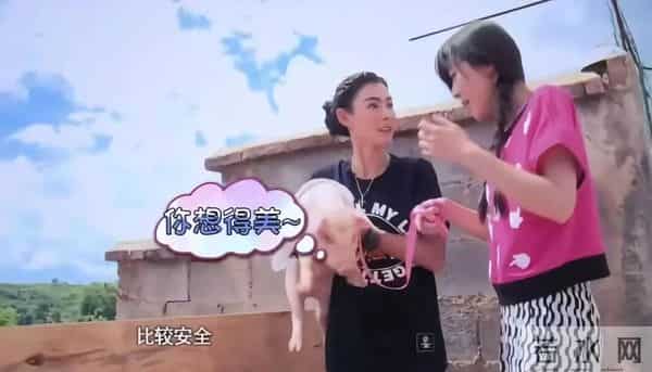 张柏芝才是最有手腕儿的人