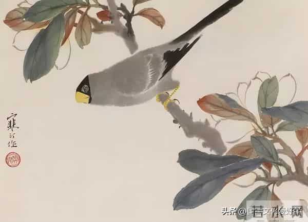 国画大家江寒汀的写意花鸟作品赏析！