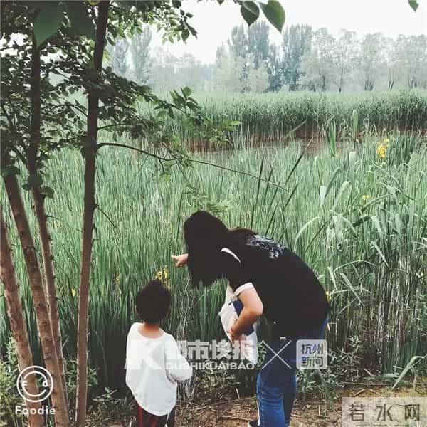 卖掉杭州两套房，她带着海归老公和孩子回农村！如今儿子一年级了，夫妻俩每天山里城里来回跑