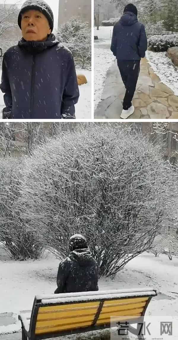 艺人“下头”行为大比拼:低级玩笑、霸凌偷窃,一个比一个离谱