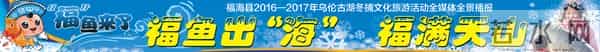 来看看,2017年福海冬捕节可以看到哪些明星?