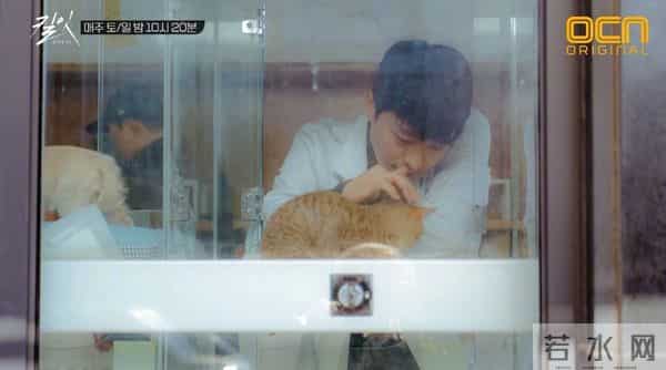 《城市猎人》8年后，终于又看到一部男女主双A且颜值爆表的韩剧！