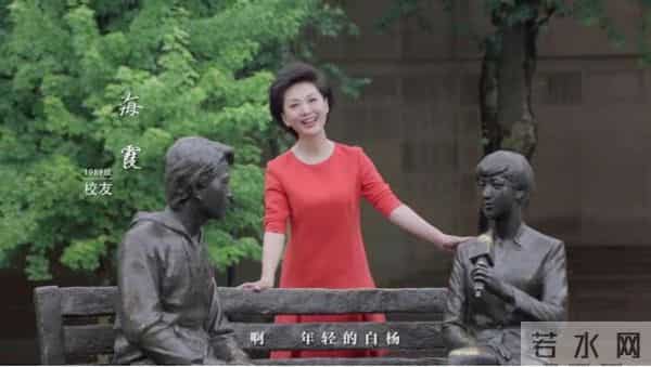 中国主持界的半壁江山,都在这两部MV里