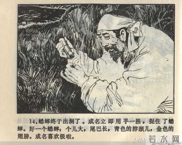 聊斋志异系列之《梅女》（陕美版）1982