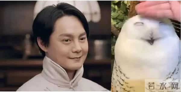 尹正,可别再吃了!