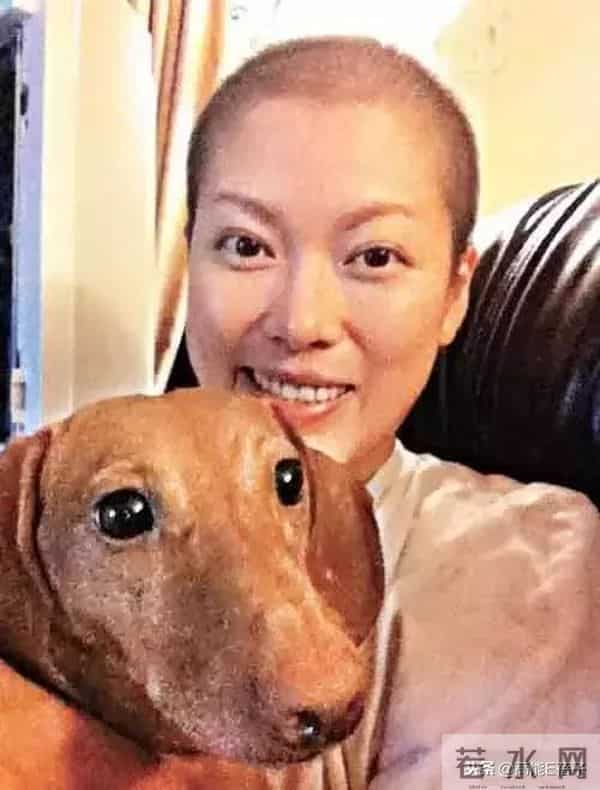 TVB万千星辉吃瓜大典:传说中的颁奖典礼“潜规则”