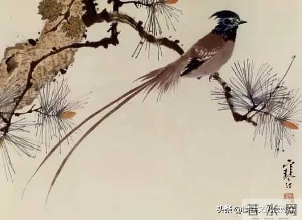 国画大家江寒汀的写意花鸟作品赏析！