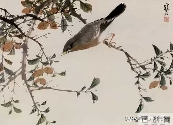 国画大家江寒汀的写意花鸟作品赏析！