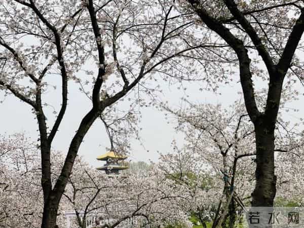 我,盲人按摩师,手指不灵活,21岁还不会用筷子,想转行当主持人