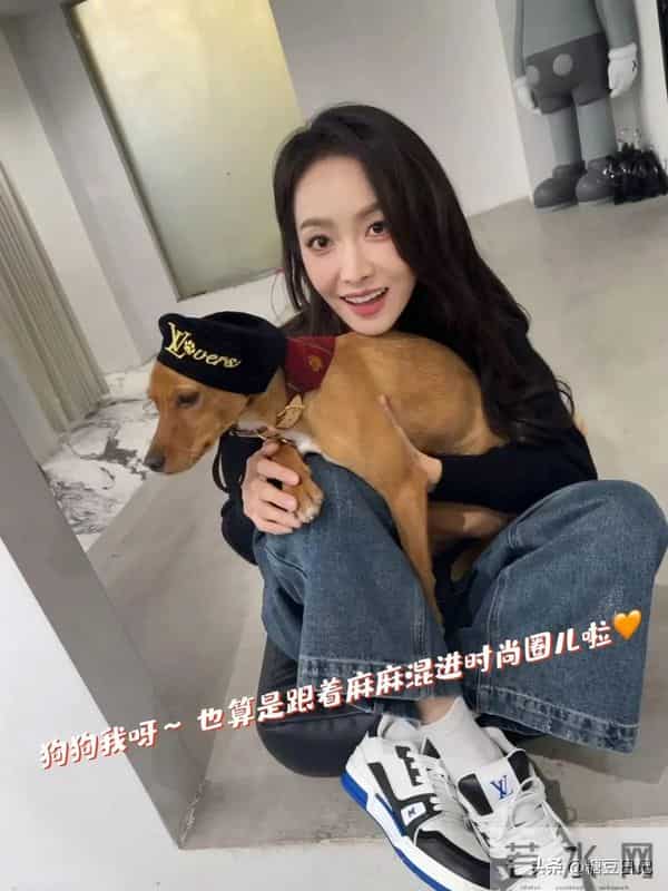 尼坤胖出三下巴模样大变,宋茜容貌更甚从前,维尼夫妇磕不下去了