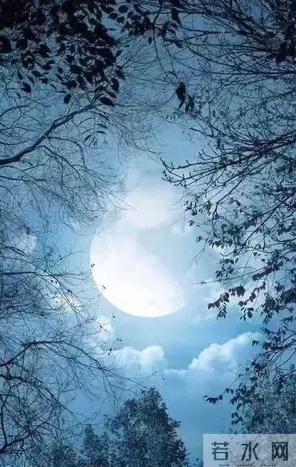 当时的月亮,诗意且悲凉
